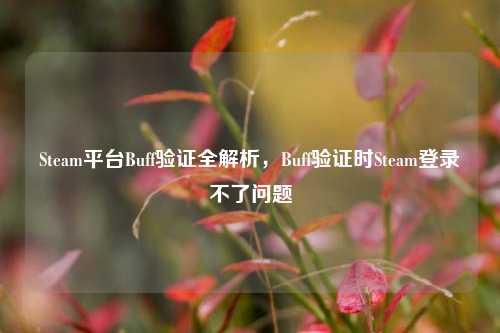 Steam平台Buff验证全解析,Buff验证时Steam登录不了问题