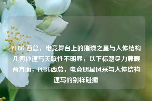 PUBG 西总,电竞舞台上的璀璨之星与人体结构几何体速写关联性不明显,以下标题尽力兼顾两方面,PUBG西总,电竞明星风采与人体结构速写的别样碰撞