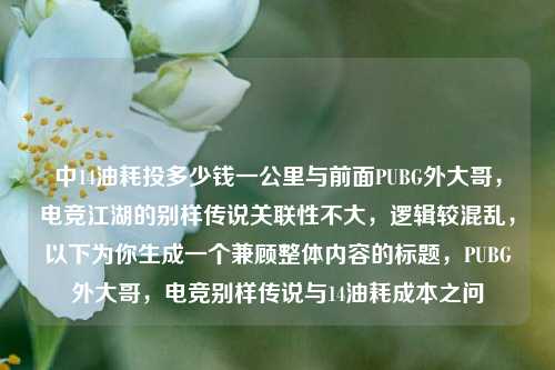 中14油耗投多少钱一公里与前面PUBG外大哥,电竞江湖的别样传说关联性不大,逻辑较混乱,以下为你生成一个兼顾整体内容的标题,PUBG外大哥,电竞别样传说与14油耗成本之问