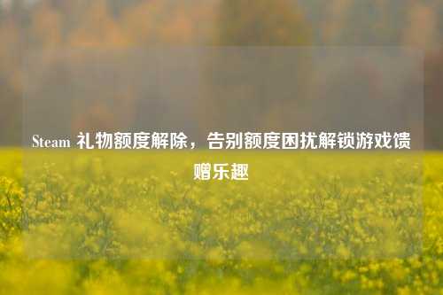Steam 礼物额度解除,告别额度困扰解锁游戏馈赠乐趣