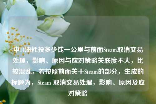 中14油耗投多少钱一公里与前面Steam取消交易处理,影响、原因与应对策略关联度不大,比较混乱,若按照前面关于Steam的部分,生成的标题为,Steam 取消交易处理,影响、原因及应对策略