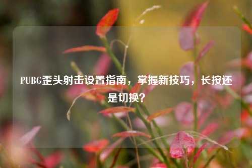 PUBG歪头射击设置指南,掌握新技巧,长按还是切换?