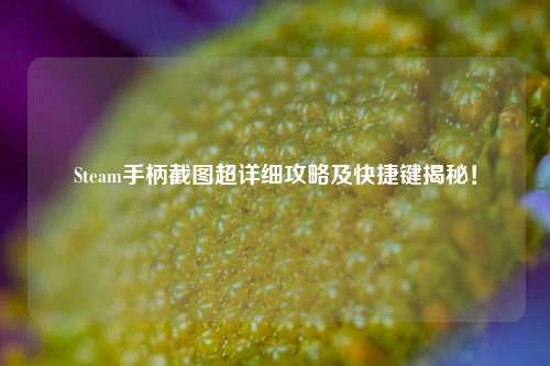Steam手柄截图超详细攻略及快捷键揭秘！