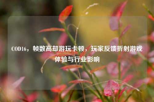 COD16，帧数高却游玩卡顿，玩家反馈折射游戏体验与行业影响