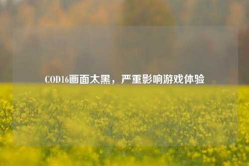 COD16画面太黑,严重影响游戏体验