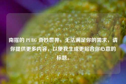 南摇的 PUBG 奇妙世界,无法满足你的需求,请你提供更多内容,以便我生成更贴合你心意的标题。