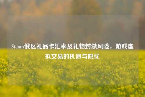Steam俄区礼品卡汇率及礼物封禁风险,游戏虚拟交易的机遇与隐忧