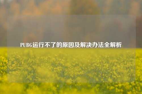 PUBG运行不了的原因及解决办法全解析