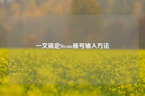 一文搞定Steam账号输入方法