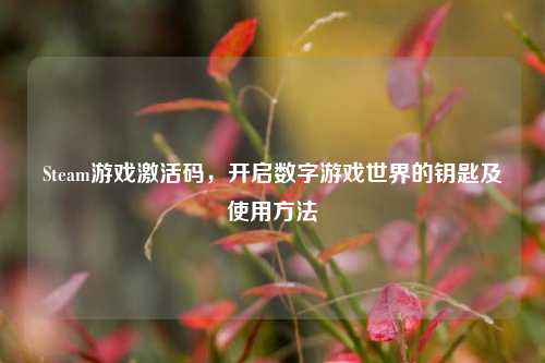 Steam游戏激活码,开启数字游戏世界的钥匙及使用方法