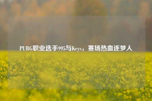 PUBG职业选手995与Keys,赛场热血逐梦人
