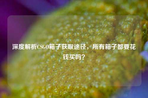 深度解析CSGO箱子获取途径,所有箱子都要花钱买吗?
