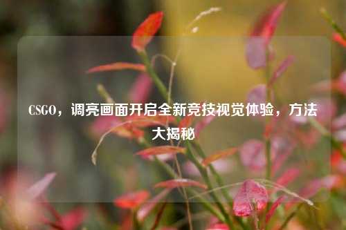CSGO，调亮画面开启全新竞技视觉体验，方法大揭秘