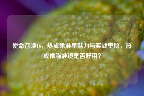 使命召唤16,热成像准星魅力与实战奥秘,热成像瞄准镜是否好用?