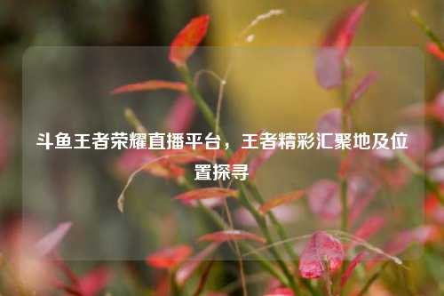 斗鱼王者荣耀直播平台,王者精彩汇聚地及位置探寻