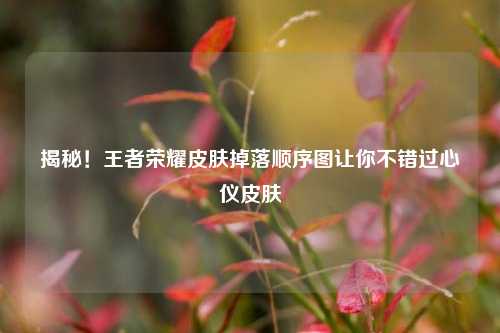 揭秘！王者荣耀皮肤掉落顺序图让你不错过心仪皮肤