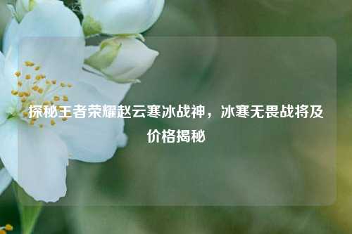探秘王者荣耀赵云寒冰战神，冰寒无畏战将及价格揭秘