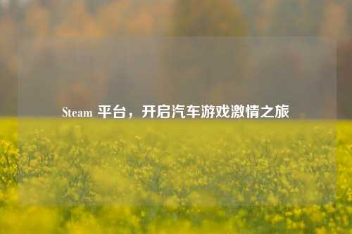 Steam 平台,开启汽车游戏激情之旅
