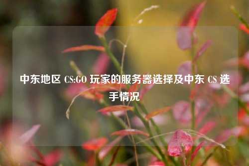 中东地区 CS:GO 玩家的服务器选择及中东 CS 选手情况