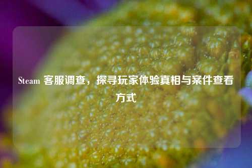Steam 客服调查,探寻玩家体验真相与案件查看方式