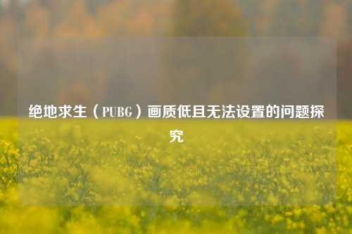 绝地求生（PUBG）画质低且无法设置的问题探究