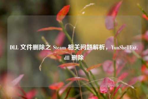 DLL 文件删除之 Steam 相关问题解析，YunShellExt.dll 删除