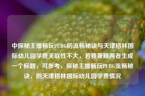 中探秘主播畅玩PUBG的流畅秘诀与天津格林国际幼儿园学费关联性不大,若要兼顾两者生成一个标题,可参考,探秘主播畅玩PUBG流畅秘诀,附天津格林国际幼儿园学费情况