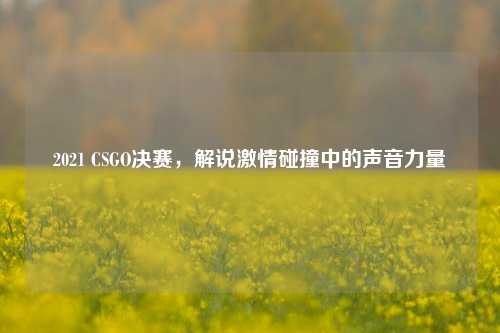 2021 CSGO决赛,解说激情碰撞中的声音力量