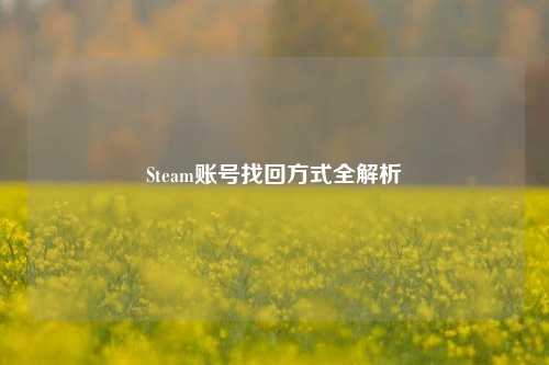Steam账号找回方式全解析