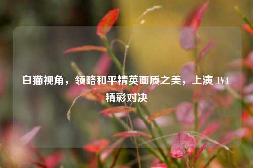 白猫视角,领略和平精英画质之美,上演 1V4 精彩对决