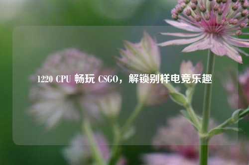 1220 CPU 畅玩 CSGO，解锁别样电竞乐趣