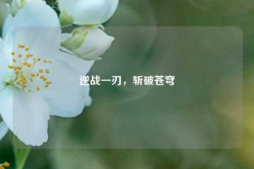逆战一刃,斩破苍穹