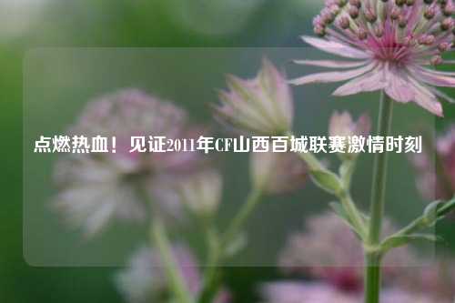点燃热血!见证2011年CF山西百城联赛激情时刻
