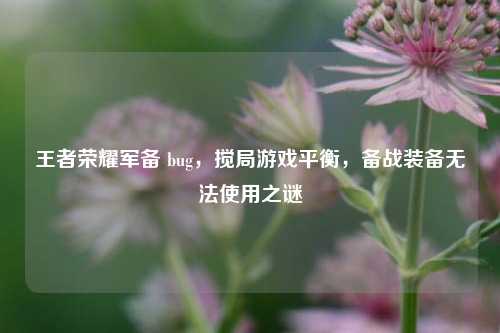 王者荣耀军备 bug，搅局游戏平衡，备战装备无法使用之谜