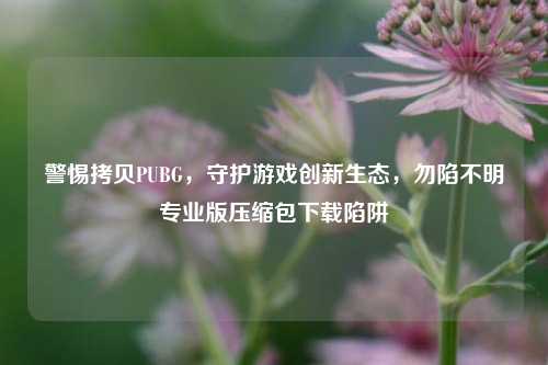 警惕拷贝PUBG，守护游戏创新生态，勿陷不明专业版压缩包下载陷阱