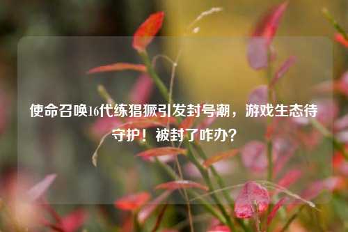 使命召唤16代练猖獗引发封号潮,游戏生态待守护!被封了咋办?