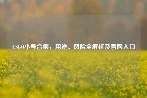 CSGO小号合集，用途、风险全解析及官网入口