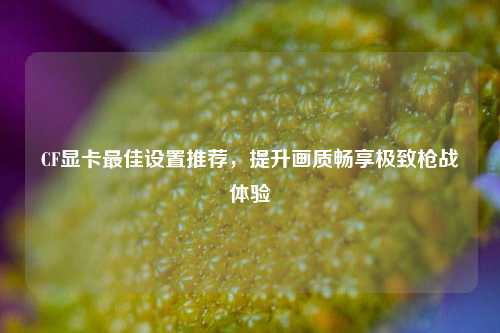 CF显卡最佳设置推荐,提升画质畅享极致枪战体验