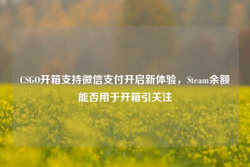 CSGO开箱支持微信支付开启新体验，Steam余额能否用于开箱引关注