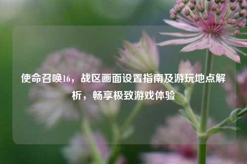 使命召唤16,战区画面设置指南及游玩地点解析,畅享极致游戏体验
