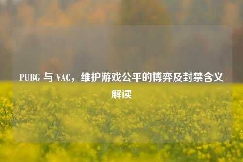 PUBG 与 VAC,维护游戏公平的博弈及封禁含义解读