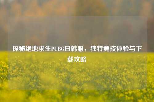探秘绝地求生PUBG日韩服,独特竞技体验与下载攻略