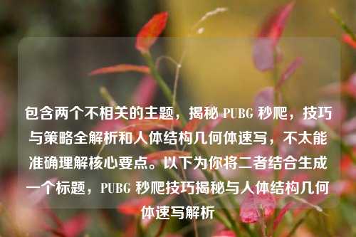 包含两个不相关的主题，揭秘 PUBG 秒爬，技巧与策略全解析和人体结构几何体速写，不太能准确理解核心要点。以下为你将二者结合生成一个标题，PUBG 秒爬技巧揭秘与人体结构几何体速写解析