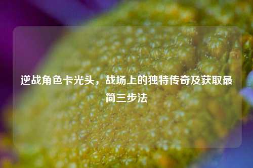 逆战角色卡光头,战场上的独特传奇及获取最简三步法
