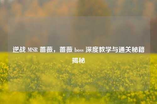 逆战 MSR 蔷薇，蔷薇 boss 深度教学与通关秘籍揭秘