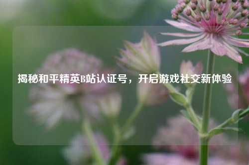 揭秘和平精英B站认证号，开启游戏社交新体验