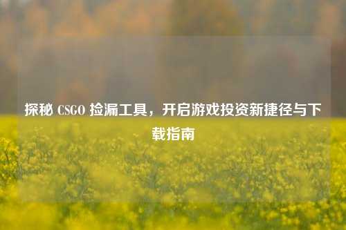探秘 CSGO 捡漏工具，开启游戏投资新捷径与下载指南