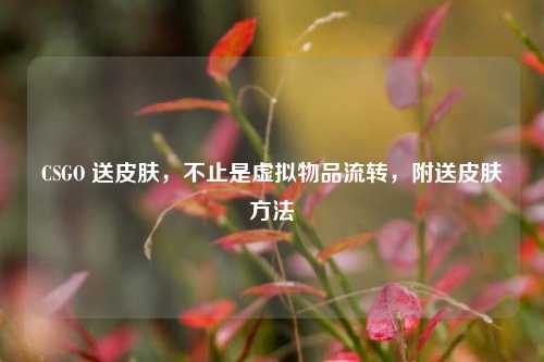 CSGO 送皮肤，不止是虚拟物品流转，附送皮肤方法