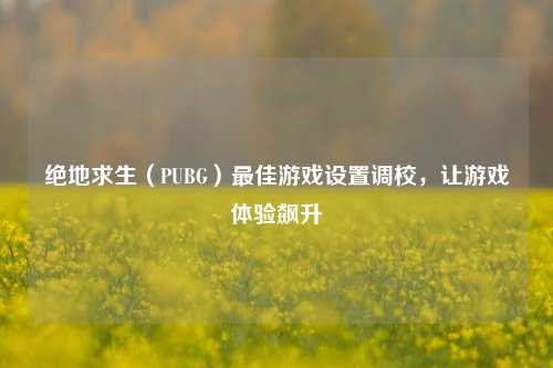 绝地求生(PUBG)最佳游戏设置调校,让游戏体验飙升