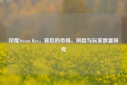 印度Steam Key,背后的市场、风险与玩家数量探究